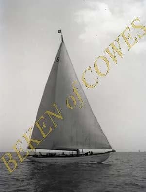Tigris 1937 — Beken of Cowes
