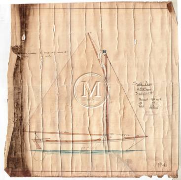Design 45 — Sail Plan