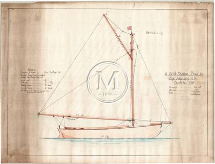 Design 50 — Sail Plan